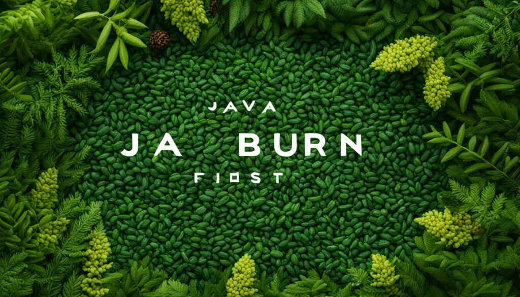 Java Burn ingredients