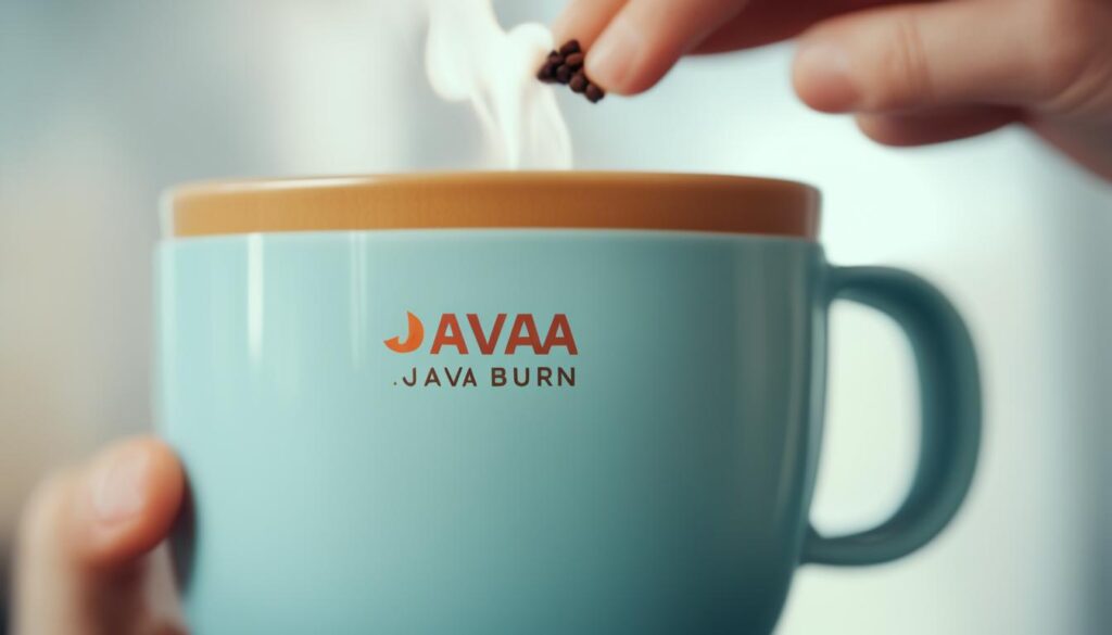 Java Burn instructions